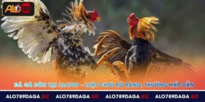 da ga don tai alo789 luat choi ro rang thuong hap dan