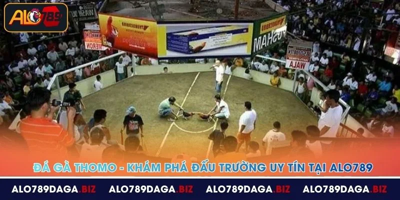 da ga thomo kham pha dau truong uy tin tai alo789