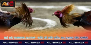 da ga tonhon alo789 dau ke hap dan da dang keo cuoc